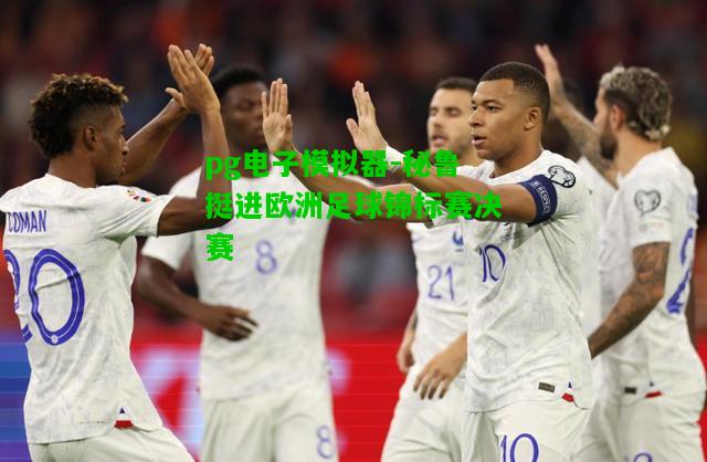 秘鲁挺进欧洲足球锦标赛决赛