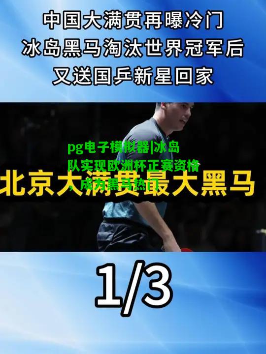 冰岛队实现欧洲杯正赛资格，成为黑马热门