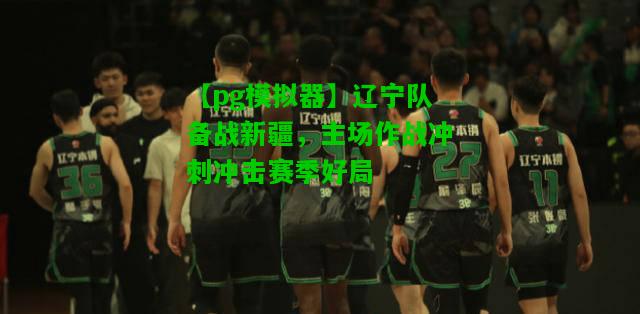 辽宁队备战新疆，主场作战冲刺冲击赛季好局
